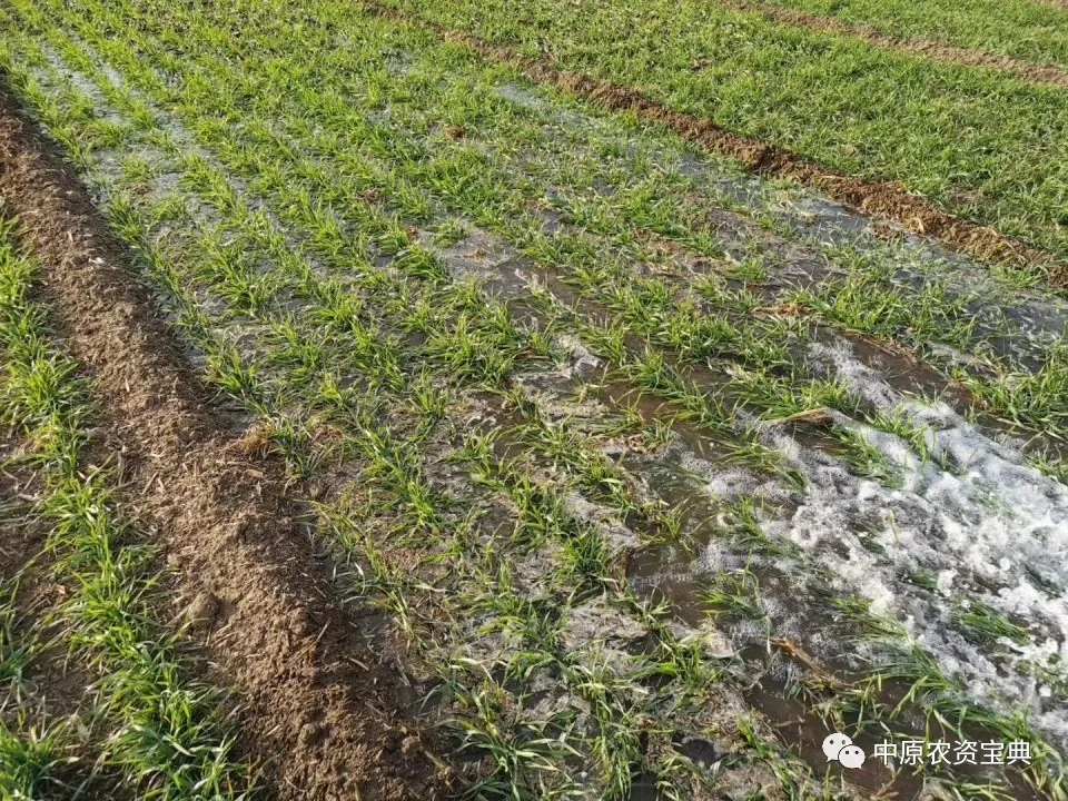 欧陆注册(中国区)官方网站
