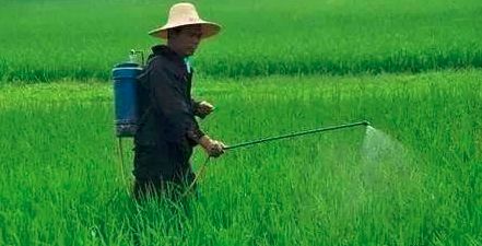 欧陆注册(中国区)官方网站